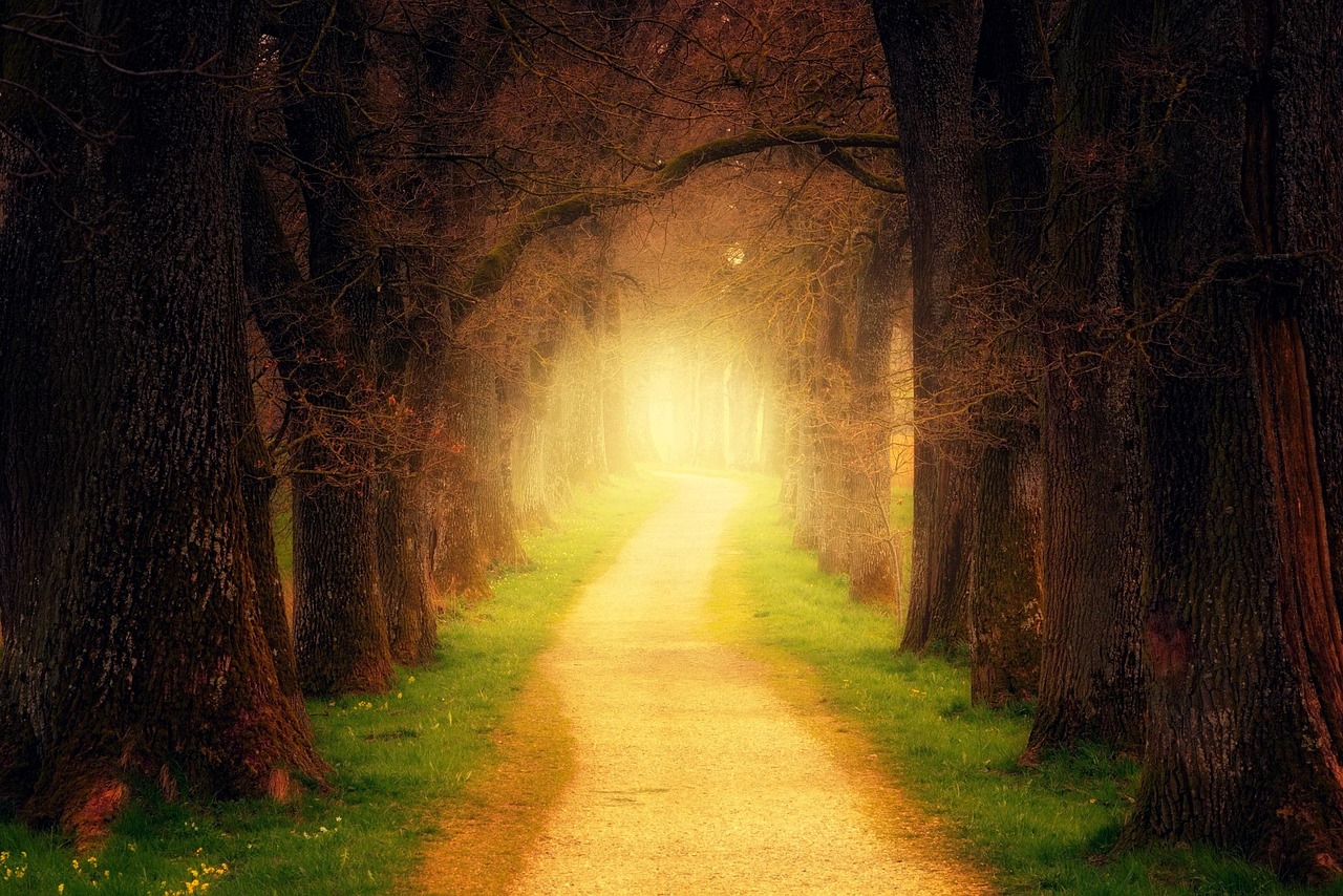 Avancer vers l'Harmonie et la Sérénité Un Chemin vers sa Lumière